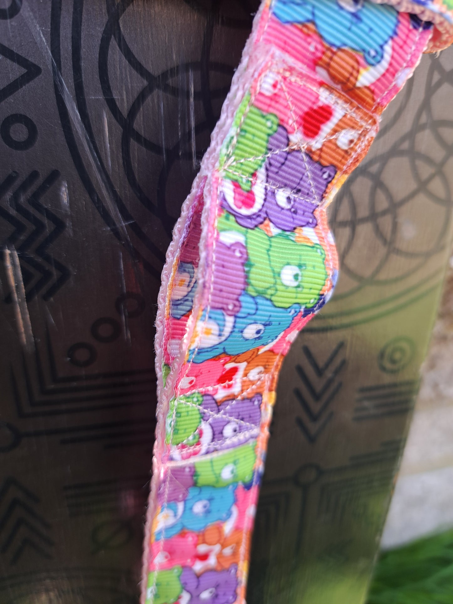 Care Bear Skate Leashes